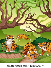 Tigers in jungle scene illustration