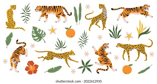 Tigres, leopardos y jaguares con plantas tropicales. Animales silvestres, hojas de palma, flores y frutas, depredadores de safari, familia de gatos. Mamíferos de safari y zoológico. Conjunto aislado de elementos de decoración