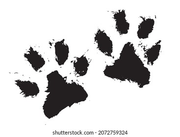 Tiger's paw. Ink Dog's Paw, Cat`s Paw, grunge style, Vector. Vector illustration.	