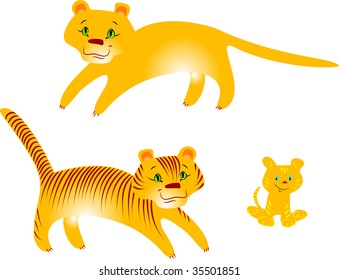Tigers and puma