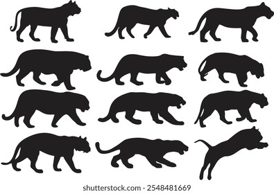 Tigers running hunting pose. Tiger icon silhouettes in editable vector. Multiple poses and positions for designing online games, poster or banner for media and web. eps 10