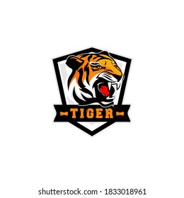 Tigers Team Sports Logo Template Vector