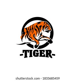 Tigers Team Sports Logo Template Vector