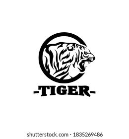 Tigers Team Sports Logo Template Vector