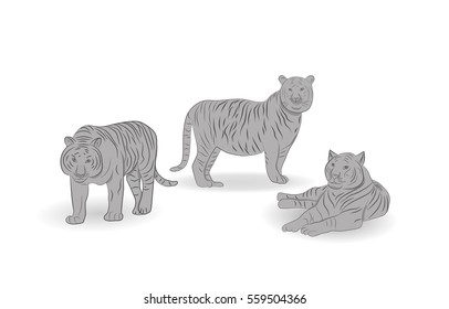 Tigers. vector illustration