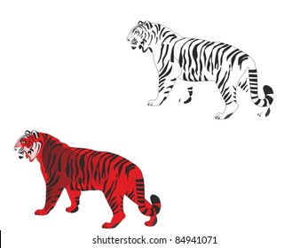 Ilustración vectorial de los tigres