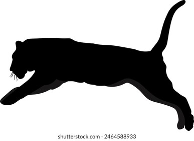 Tigers were first described scientifically in 1758 and were once widespread from the Eastern Anatolia region in the west to the Amur River valley in the east.

