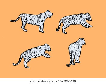 tigers wild cat vector set. Light Blue Bengal Tiger Animals Icons for Print or Tattoo Design. Hand-drawn Freehand Zoo Illustration. Art Drawing of Isolated Circus Animal