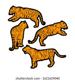 tigers wild cat vector set. Orange Bengal Tiger Animals Icons for Print or Tattoo Design. Hand-drawn Freehand Zoo Illustration. Art Drawing of Isolated Circus Animal