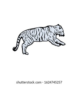 tigers wild cat vector set. Light Blue Bengal Tiger Animals Icons for Print or Tattoo Design. Hand-drawn Freehand Zoo Illustration. Art Drawing of Isolated Circus Animal