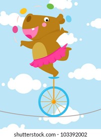  Tightrope  hippo