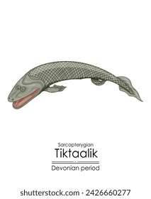 Tiktaalik, un vínculo entre peces acuáticos y tetrápodos. Sarcopterygian del período Devónico, un animal acuático extinto parecido a un pez. Ilustración colorida sobre un fondo blanco