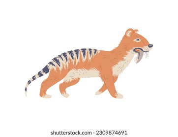 Animal tilakosmil extinto, ilustración vectorial plana aislada en fondo blanco. Mamífero matemático prehistórico con dientes de sable. Animal salvaje de las époquías de Mioceno y Plioceno.