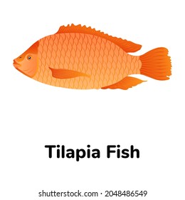 A tilapia fish is a freshwater fish, flat icon