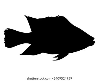 Tilapia Fish silhouette vector art