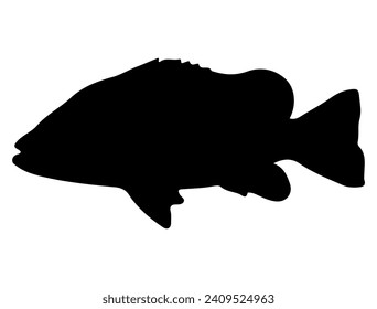 Tilapia Fish silhouette vector art