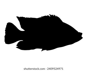 Tilapia Fish silhouette vector art