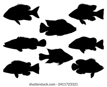 Tilapia Fish silhouette vector art