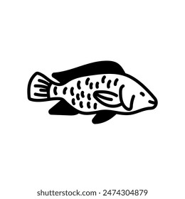 Tilapia Glyph Icon, Vector illustration