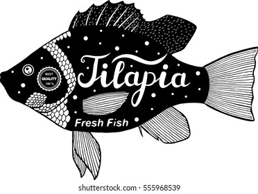 tilapia logo