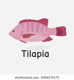 Tilapia Vector Illustration: Freshwater Edible Fish