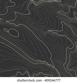 Tileable topographic map background concept with space for your copy, elevation map.