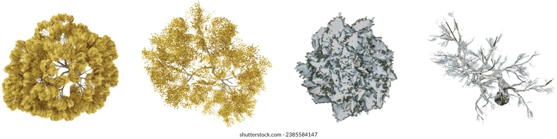 Tilia,Alnus,Hawthorn,Picea  trees top view on the forest panoramic
