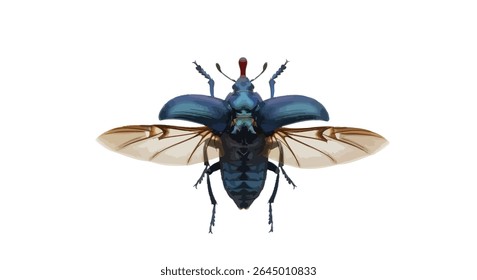 Timarcha Tenebricosa, the Bloody-Nosed Beetle, Shown Mid-Flight With Wings Spread