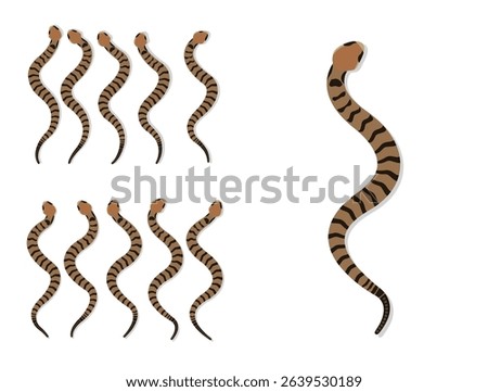 Timber Rattlesnake Animal Animation Sequence Cartoon Vector