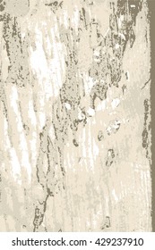 Timber wood weathered board plank with cracks, branch knot and twigs grunge background texture pattern for vintage design
