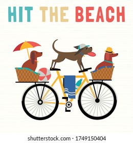 Time for adventure. Cute comic cartoon. Colorful humor retro style. Dogs ride bicycle to beach fun leisure relax. Dog days of Summer time vacation journey. Vector tourist banner background template