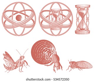 Time Infinity Elements on white backgrounds. Orbit, sandglass, scarab, cicada, mantis. Vector illustration.