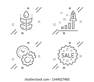 Time management, Gluten free and Development plan line icons set. Sale sign. Settings, Bio ingredients, Strategy. Shopping star. Business set. Line time management outline icon. Vector
