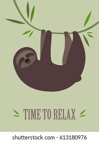 Time to relax. Sloth hanging on the liana