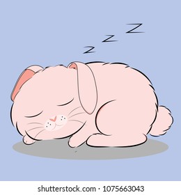 Time to sleep of pinky rabbit
