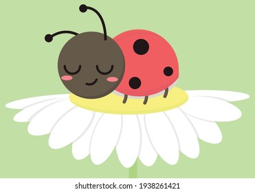 
It's time for spring or sleep, kawaii