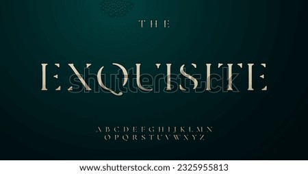 Timeless alphabet, delicate and chic letters, classic font for a sleek logo, contemporary headline, stylish typographic design. Vector typeset with an elegant and exclusive style.