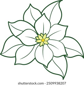 Timeless Jasmine Flower Vector Illustration