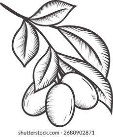 Timeless Olive: Hand-Drawn Black and White