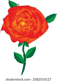 Timeless Red Rose vector design, featuring velvety petals, delicate stem, and romantic charm. Perfect for Valentine's Day designs, wedding illustrations, and elegant artwork that symbolizes love, pass