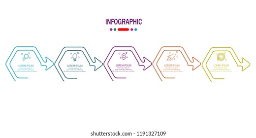 timeline infographic with 5 options template vector