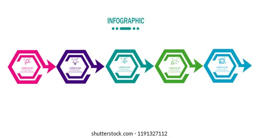 timeline infographic with 5 options template vector