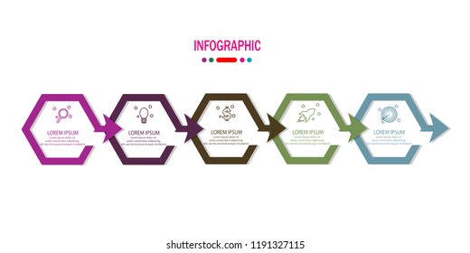 timeline infographic with 5 options template vector