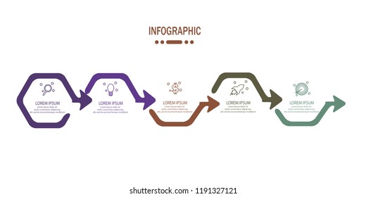 timeline infographic with 5 options template vector