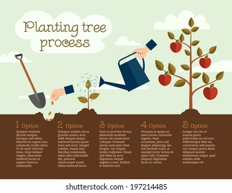 Timeline infographic of planting tree process, business concept flat design
