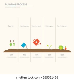 Timeline infographic of planting tree process, concept flat design