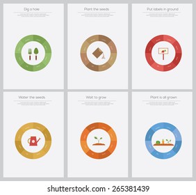 Timeline infographic of planting tree process, concept flat design