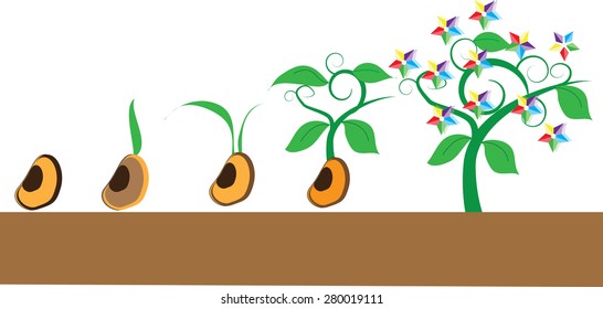 Timeline Infographic of planting tree process, flat design