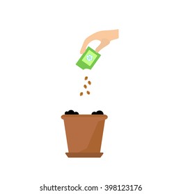 Timeline infographic of planting tree process