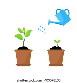 Timeline infographic of planting tree process